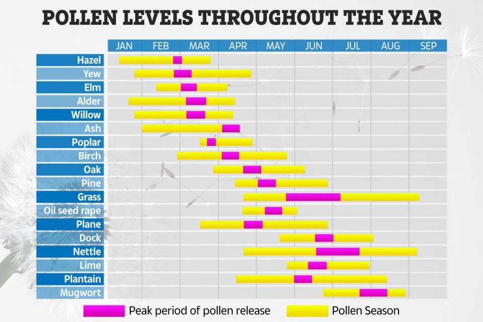  This chart shows the different types of pollen and when they peak throughout the year