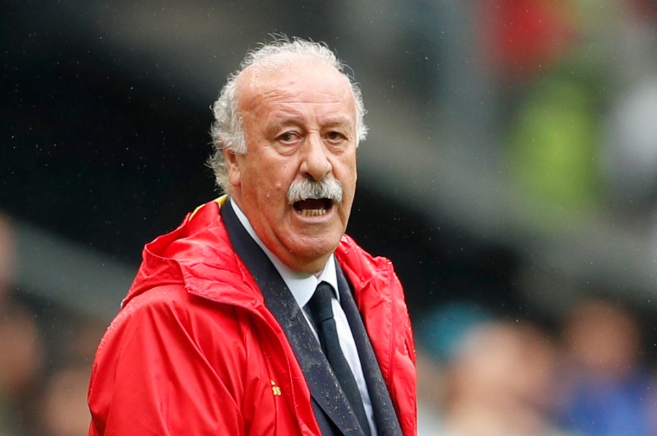 Vicente del Bosque revealed why Nicolas Anelka refused to train at Madrid