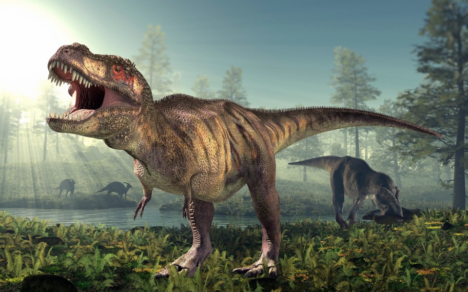  Dinosaurs only died out because they lost key parts of their habitat