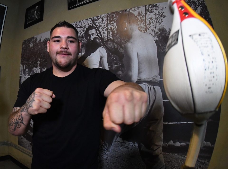  Andy Ruiz Jr is an entry for Bum of the Month Club