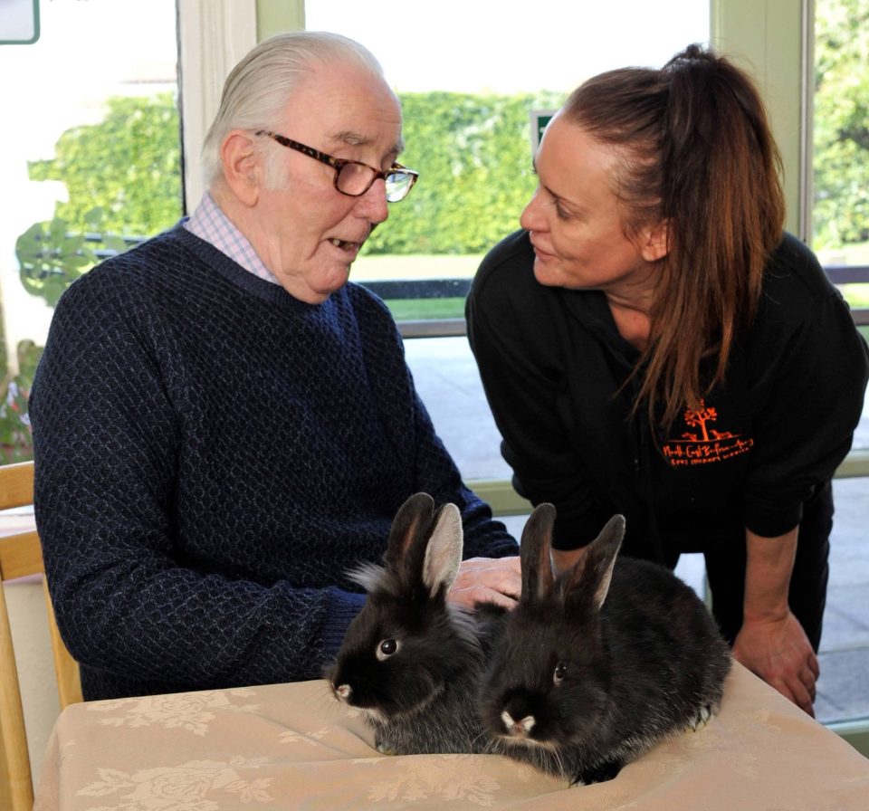  A pet befriending service could help address loneliness