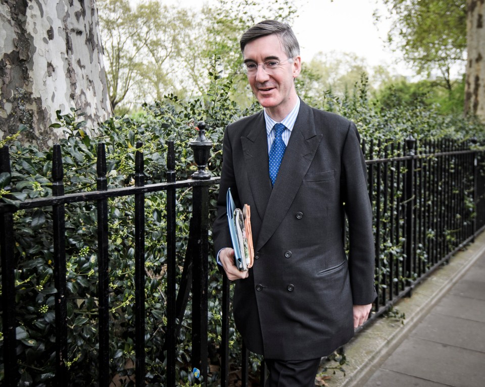  Jacob Rees-Mogg urged Brexiteers not to abandon the party