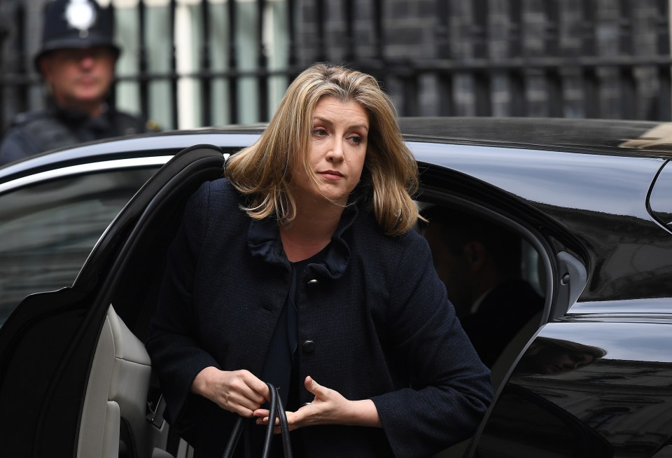 Penny Mordaunt is the new Defence Secretary