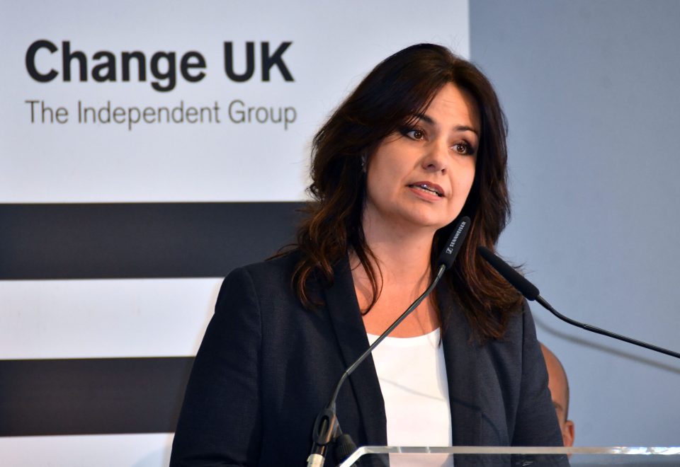  Heidi Allen MP recently became the leader of pro-Remain party Change UK