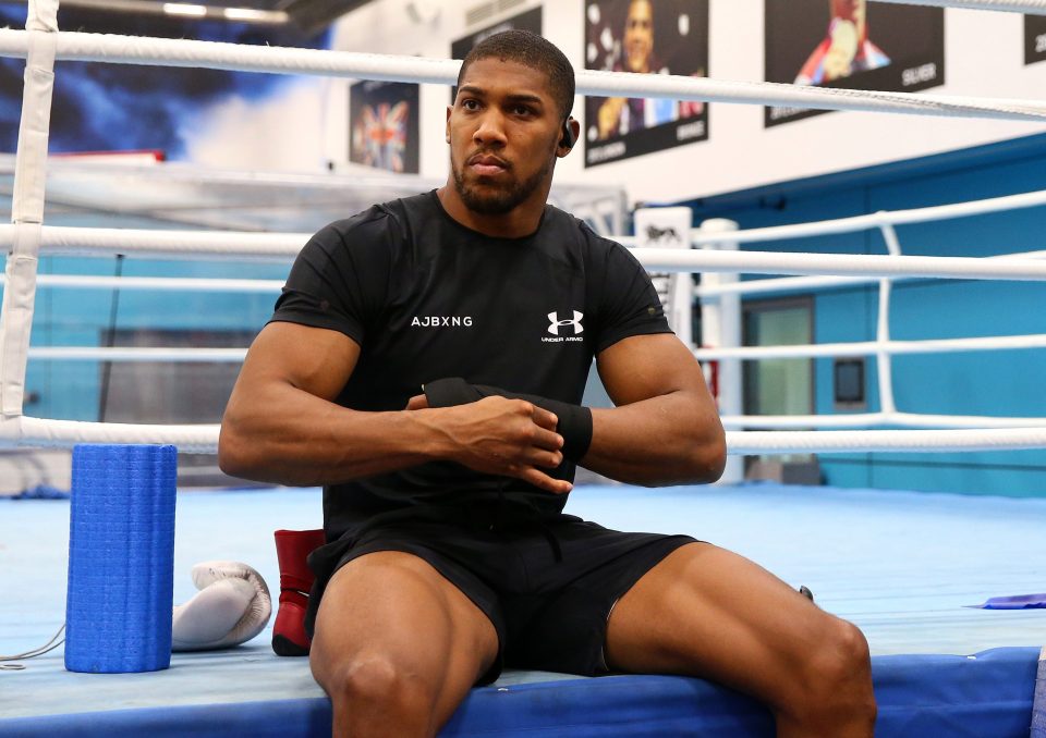  Anthony Joshua faces what seems to be an over-easy contest with rank outsider Andy Ruiz Jr in a heavyweight farce