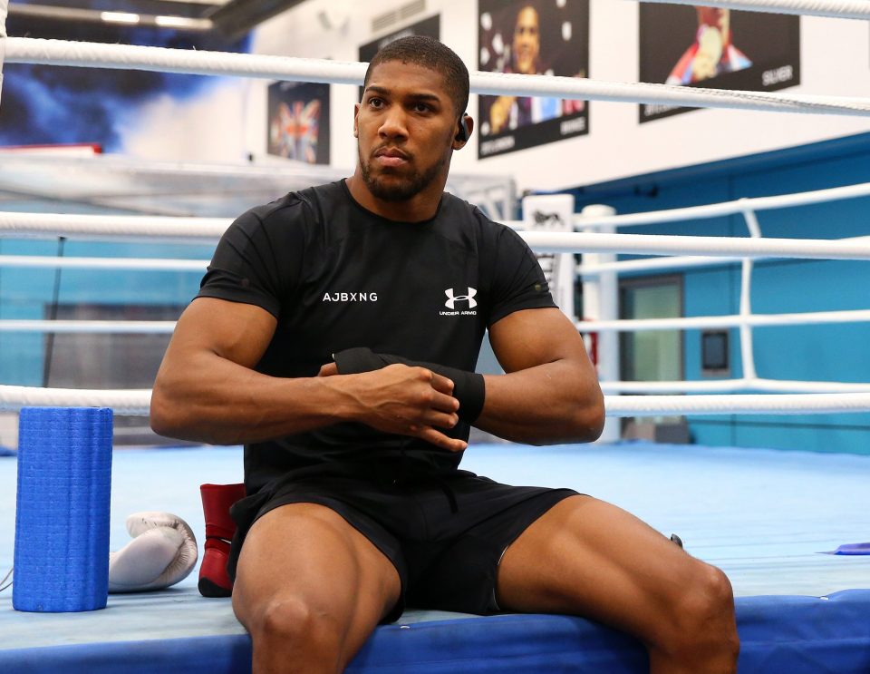 Anthony Joshua has always claimed it was Deontay Wilder's side holding things up for a fight