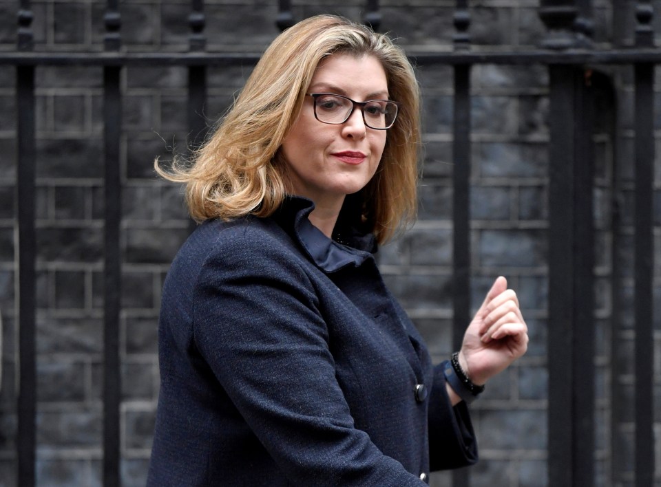  Penny Mordaunt has been appointed as the new defence secretary