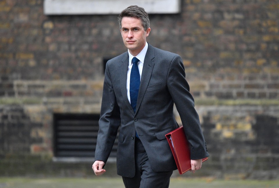 Gavin Williamson 