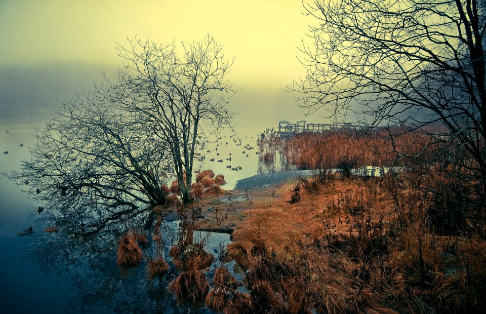  An eerie photo in Lørenskog, Norway