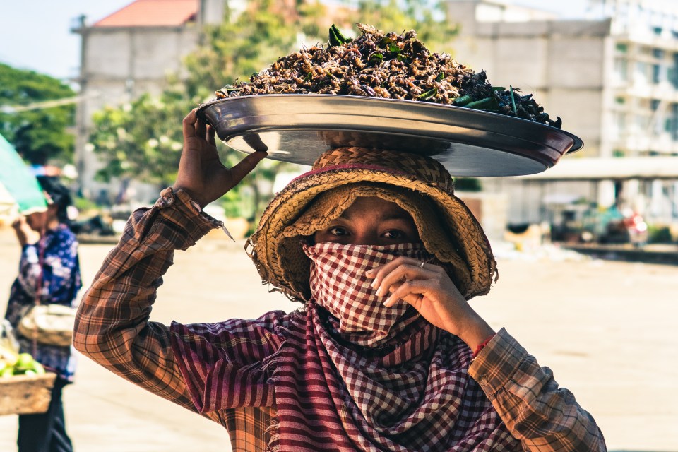  A woman sells an unusual snack at the bus stop in Siem Reap, Cambodia