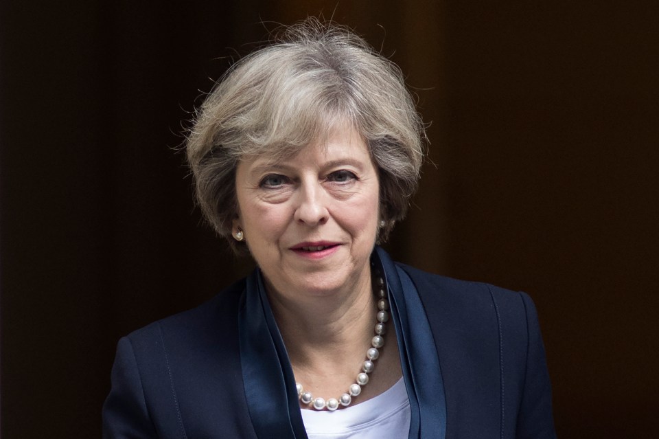 Theresa May has been warned not to offer a permanent customs union with the EU