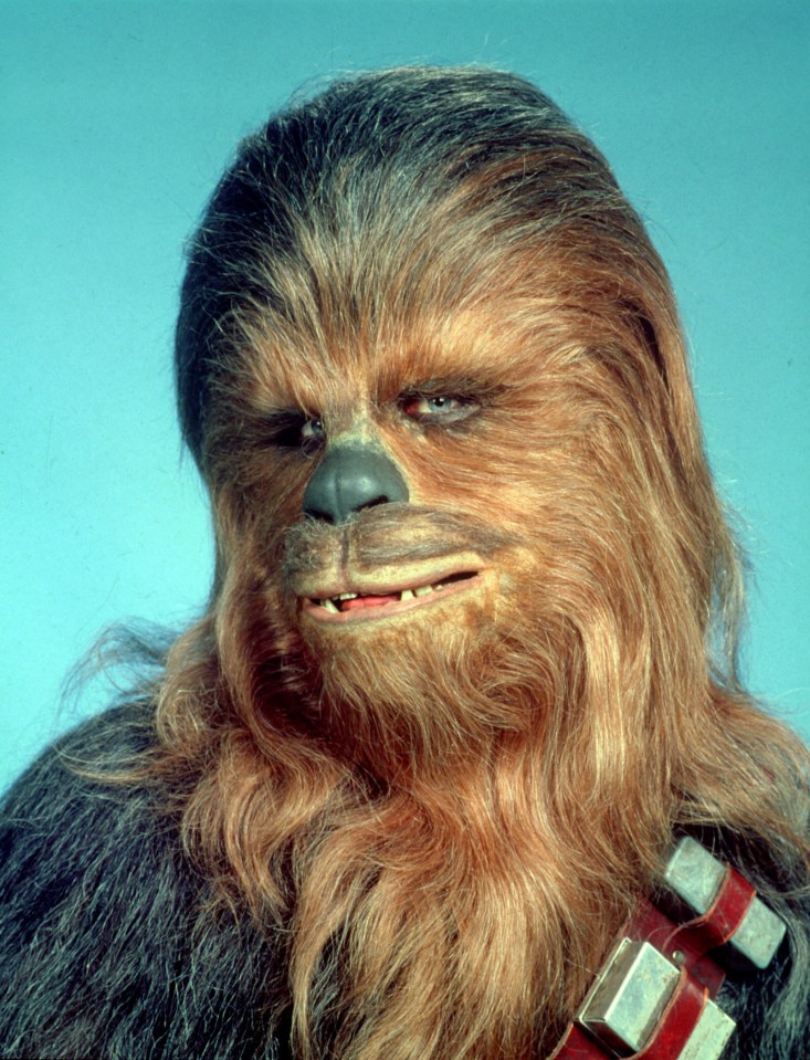  Mayhew, who was 7ft 3ins and British, played Wookiee warrior Chewbacca in five Star Wars movies