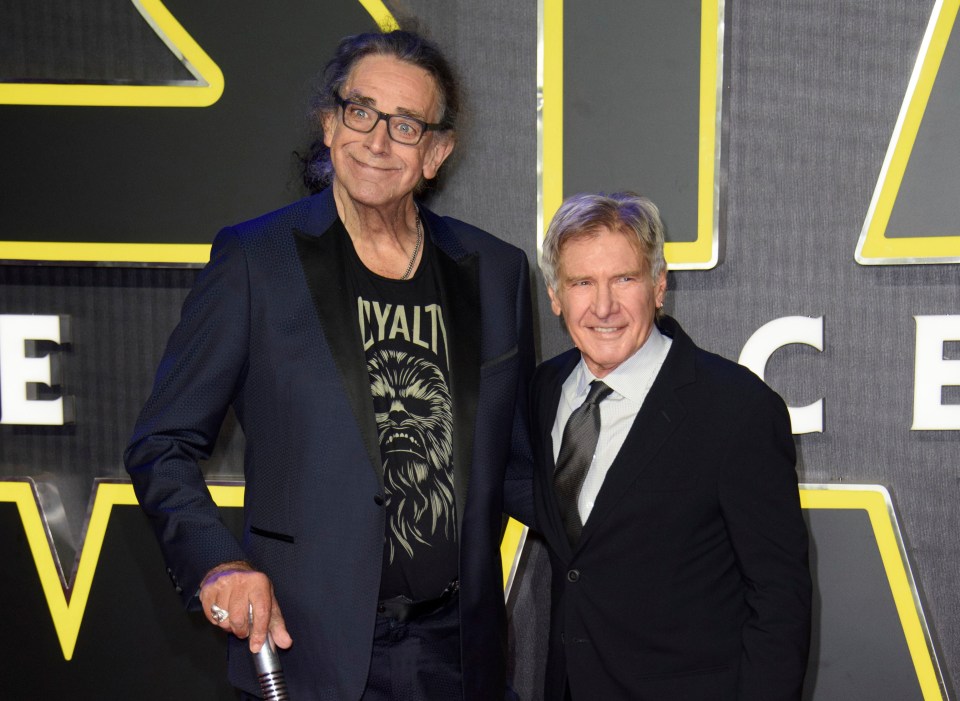  Harrison Ford, who portrayed Han Solo in the franchise, paid a heartbreaking tribute to his co-star Peter Mayhew