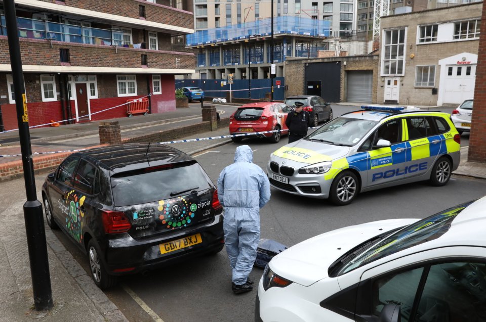  The teen was knifed to death on Tiverton Street in Southwark (pictured) last night