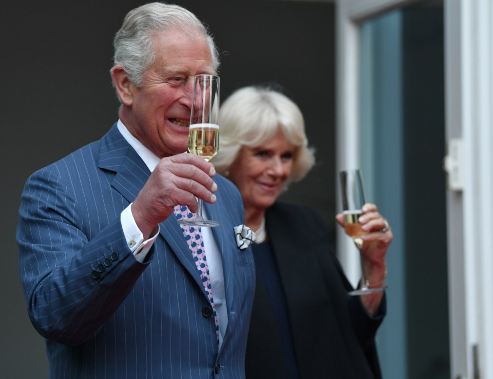  Cheers! Prince Charles, who is currently on a tour of Germany with Camilla, is celebrating the birth of his fourth grandson