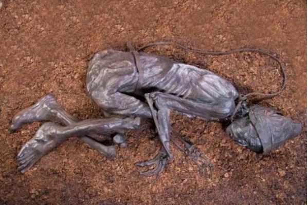 The Tollund Man