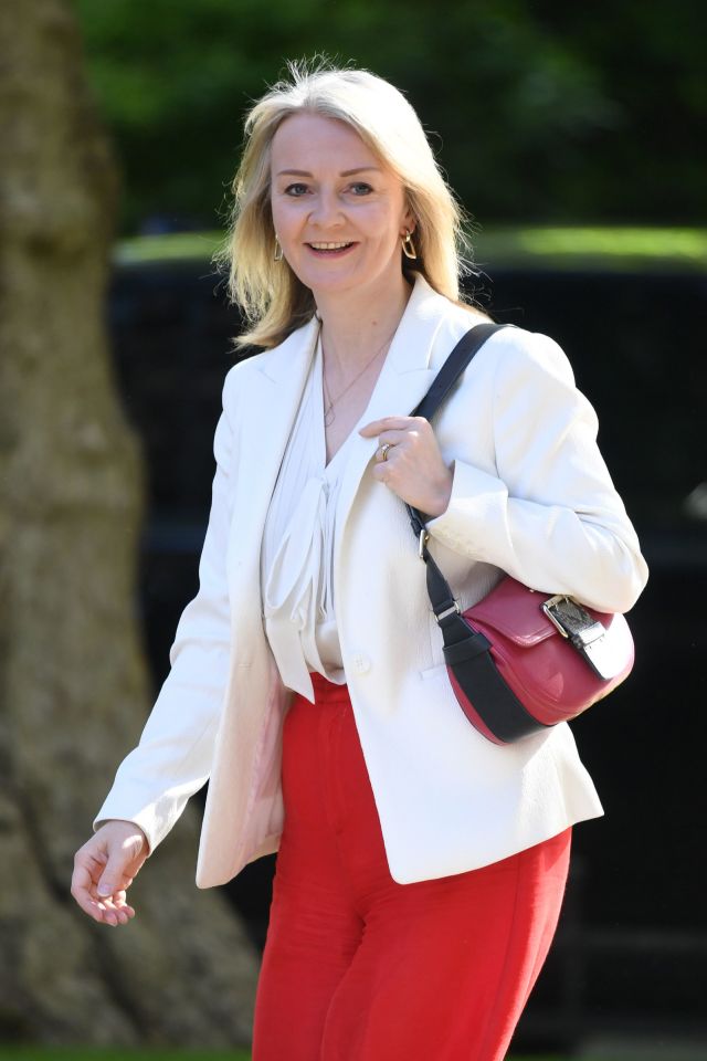  Liz Truss blasted Tories who shy away from radical change