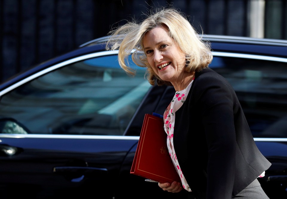  Amber Rudd is helping to lead the One Nation group