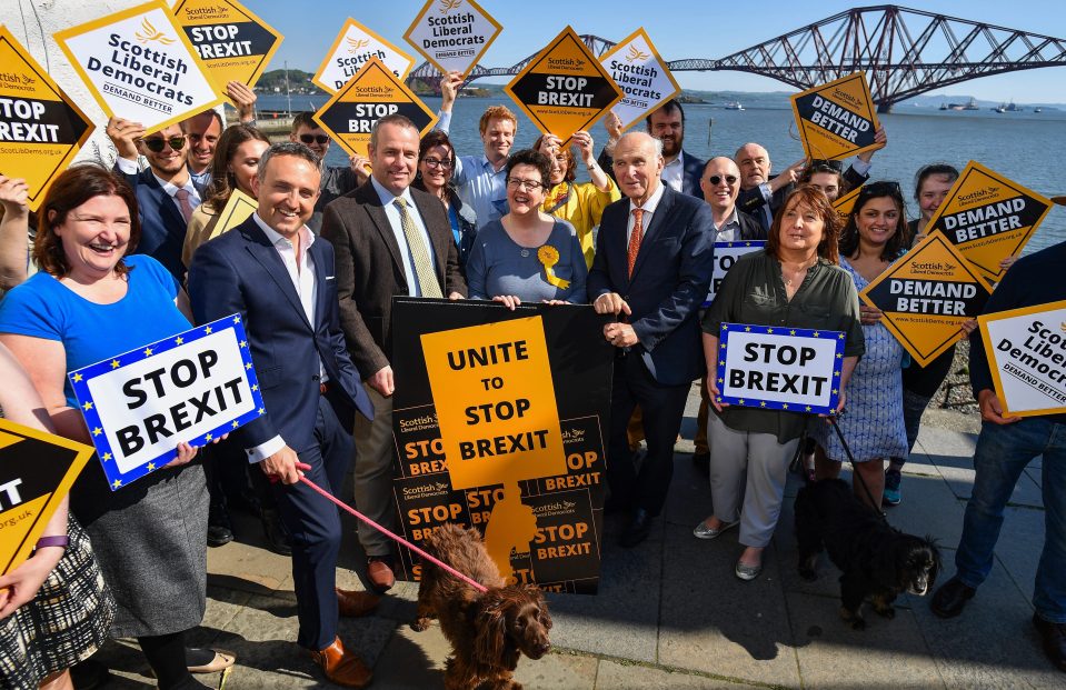  Anti-Brexit party the Liberal Democrats have called for a second referendum and people's vote