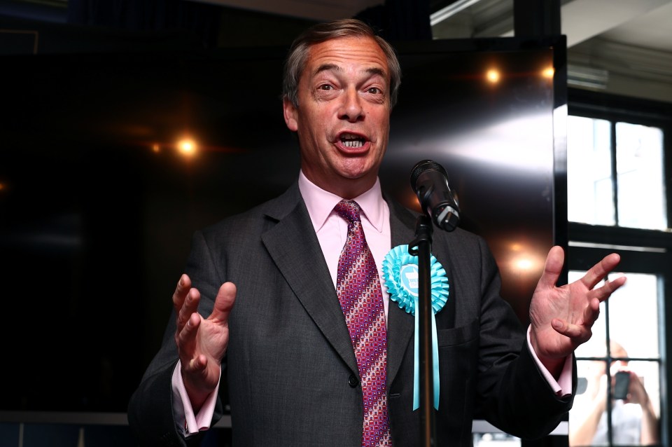  Nigel Farage's Brexit Party is ahead in the polls for the European Parliament elections