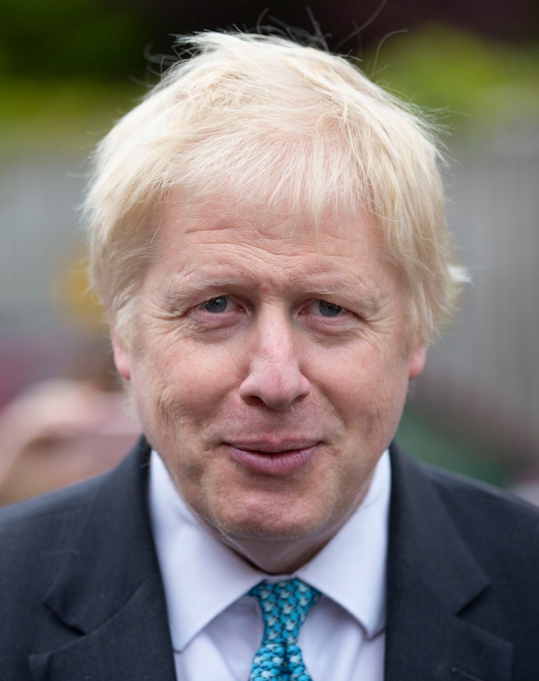  Boris Johnson leads a field of 15 candidates battling for Tory leadership