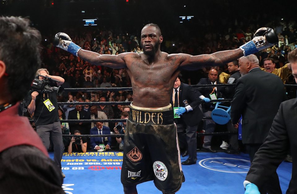  The Bronze Bomber won his ninth WBC title defence in colossal style in front of a baying crowd in New York City