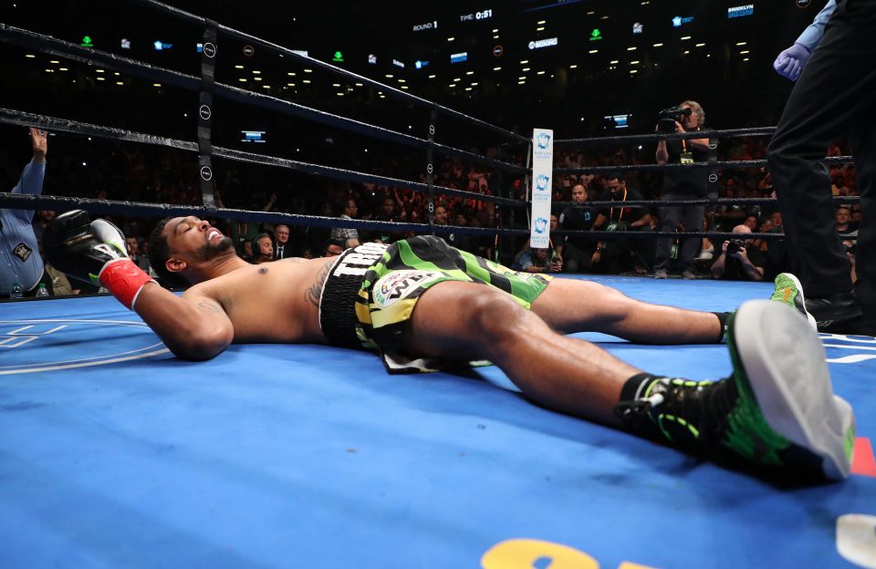  Dominic Breazeale was left flattened on the canvas after a devastating right hook from Wilder