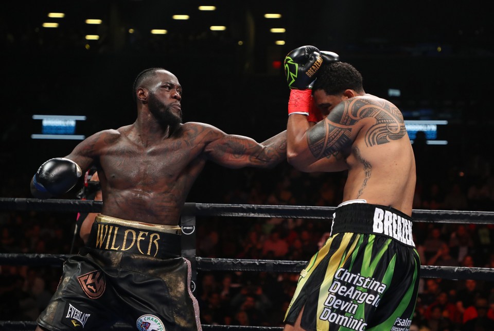 Wilder made light work of the weekend’s heavyweight contest