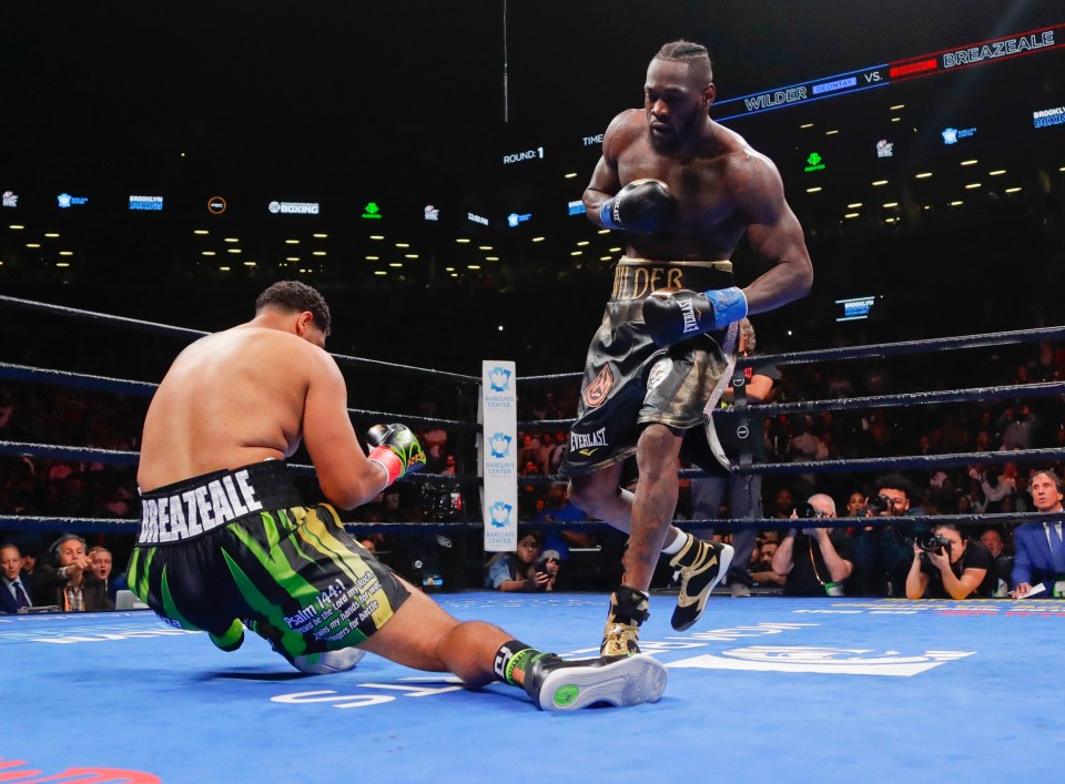 Deontay Wilder destroyed Dominic Breazeale with a first-round KO in New York to retain his WBC title