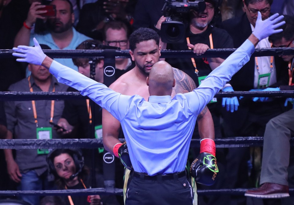 Dominic Breazeale was back on his feet when the fight was called off