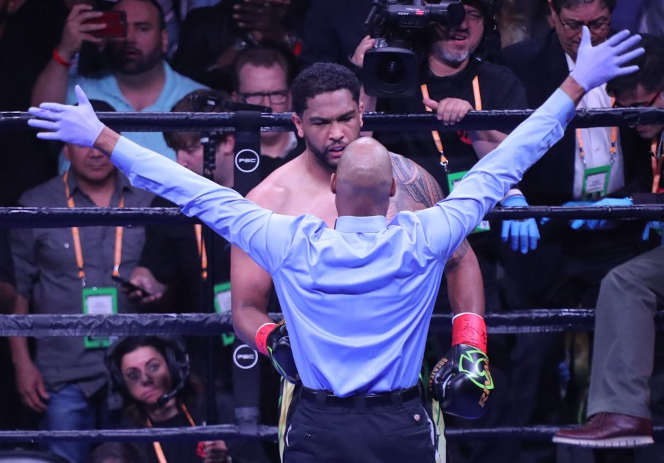  Dominic Breazeale was back on his feet when the fight was called off