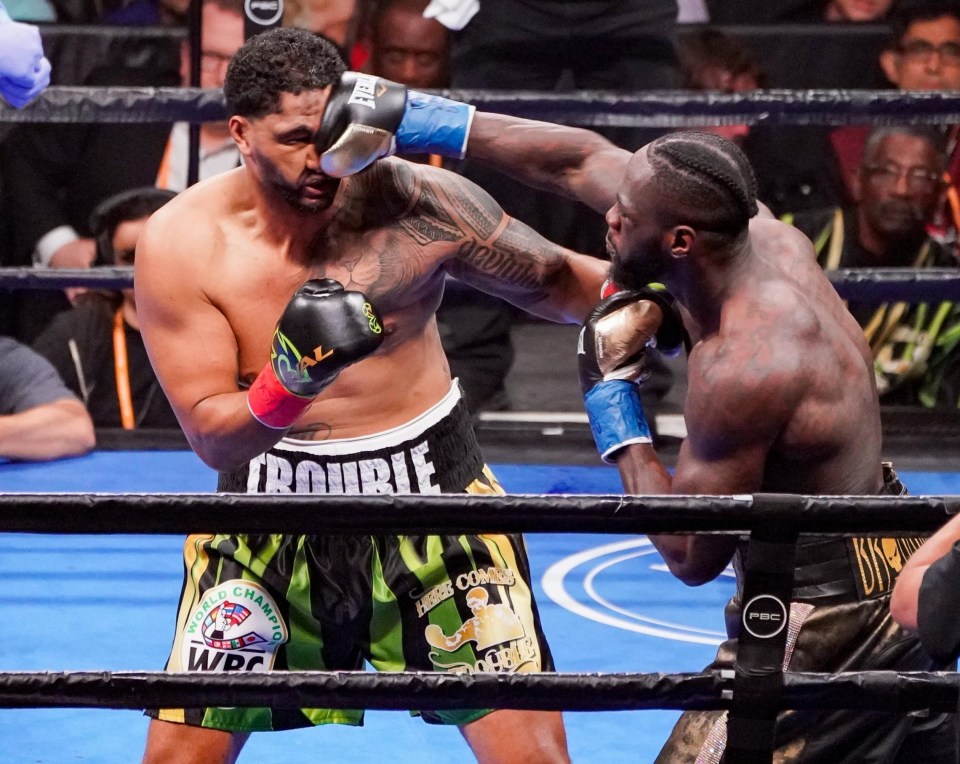 Deontay Wilder produced a moment of magic to win the fight in the first round