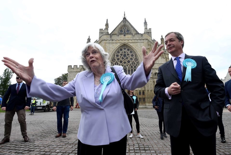  Mr Farage campaigning with Ann Widdecombe in Exeter