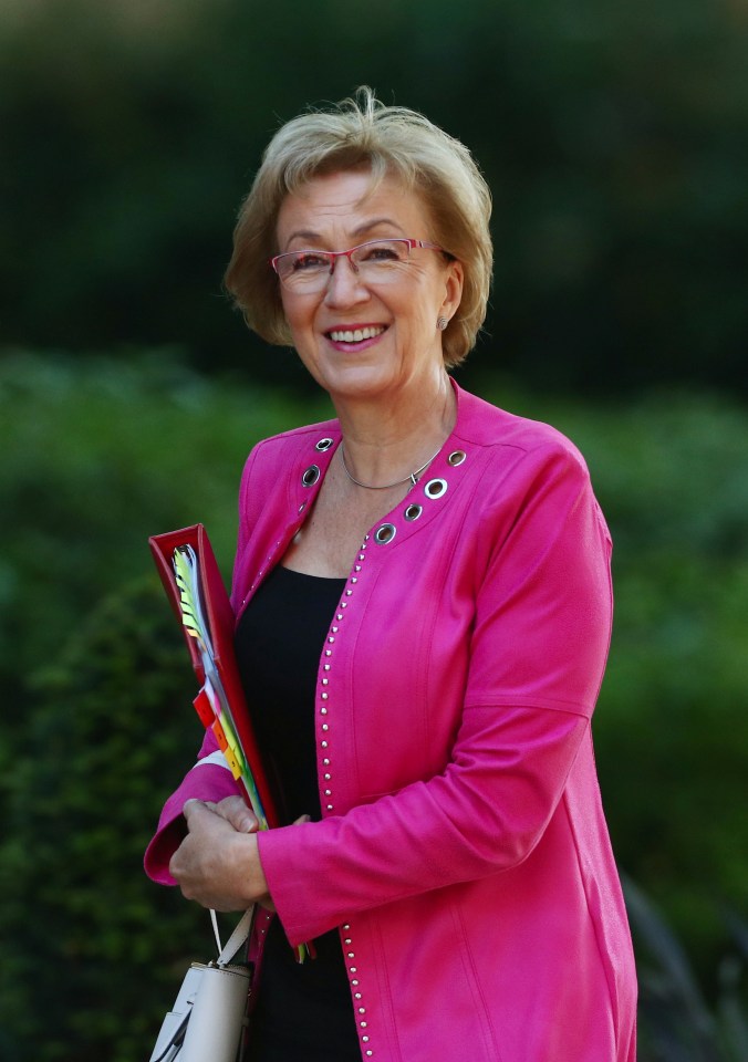 Leadsom had a successful career in finance before moving to politics