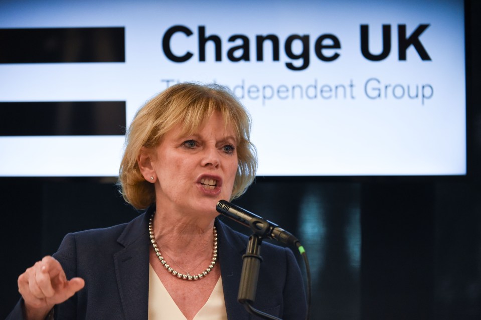 Change UK MP Anna Soubry has slammed party leader Heidi Allen