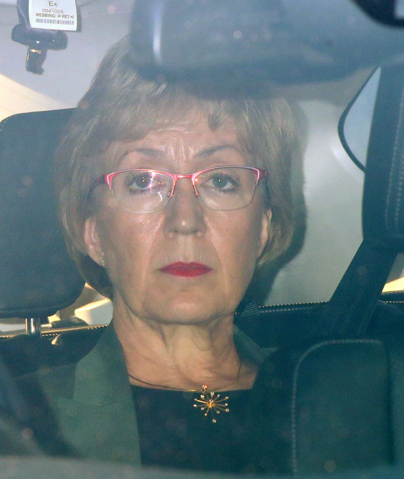 Andrea Leadsom quit the day before the EU Parliament election