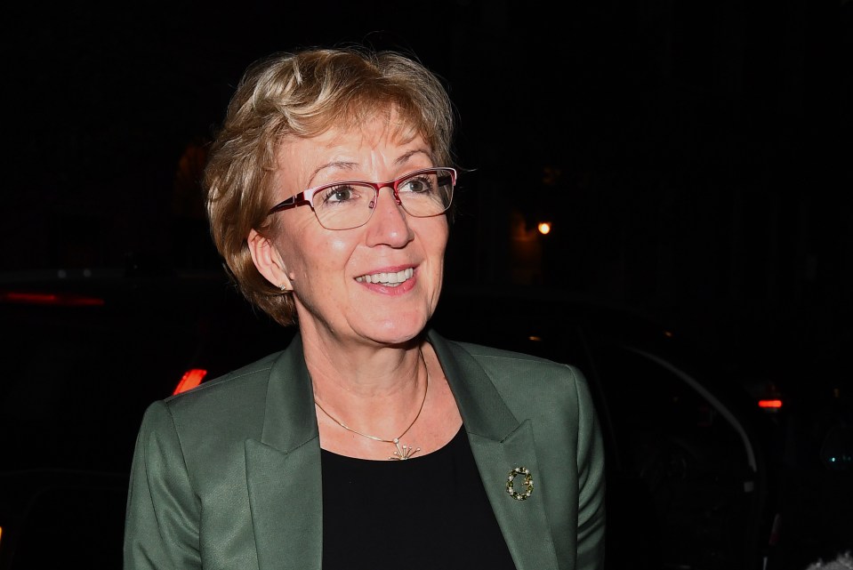  Andrea Leadsom dramatically quit the Cabinet over the PM's new Brexit deal