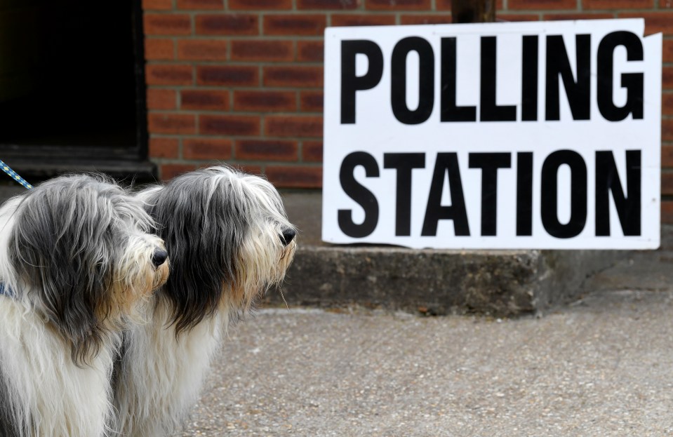  Your pooch is more than welcome to join you at the polling station