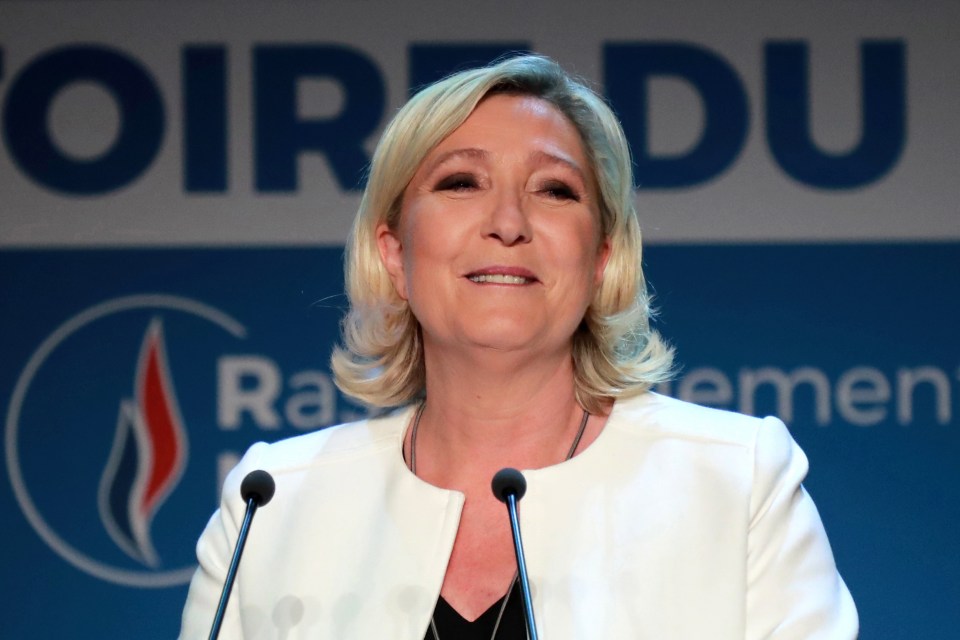  The Brexit Party boss was in talks with Marine Le Pen and Matteo Salvini