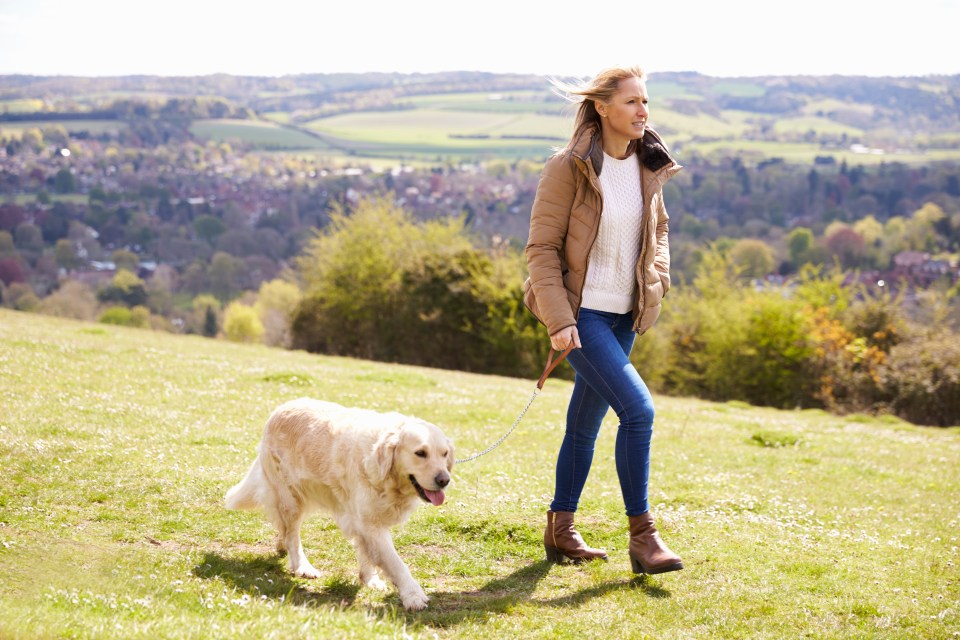  Researchers suggest walking 4,000 steps a day is enough to slash the risk of early death