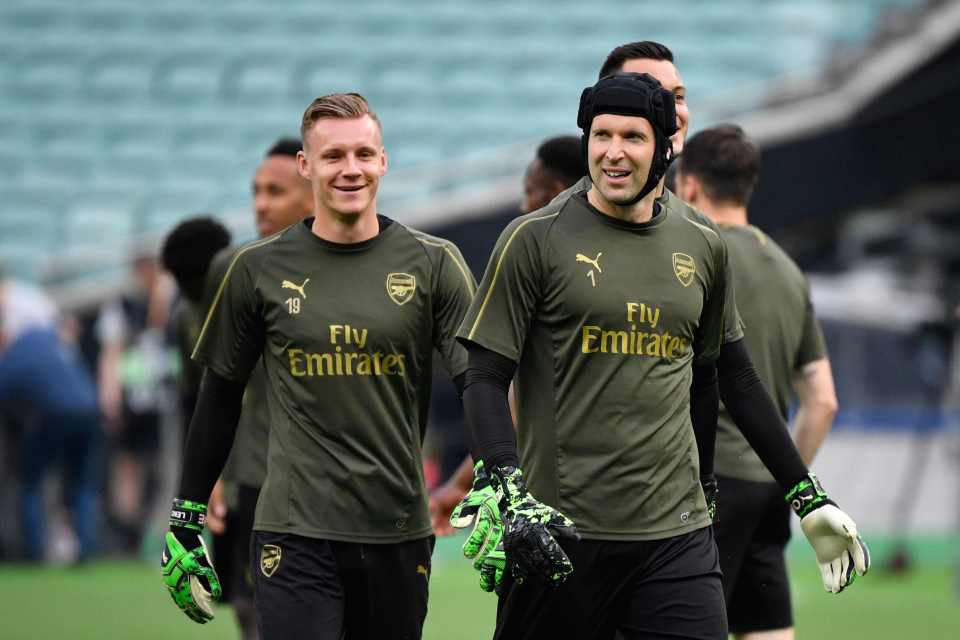  Seaman is still unsure over Petr Cech's inclusion in the final