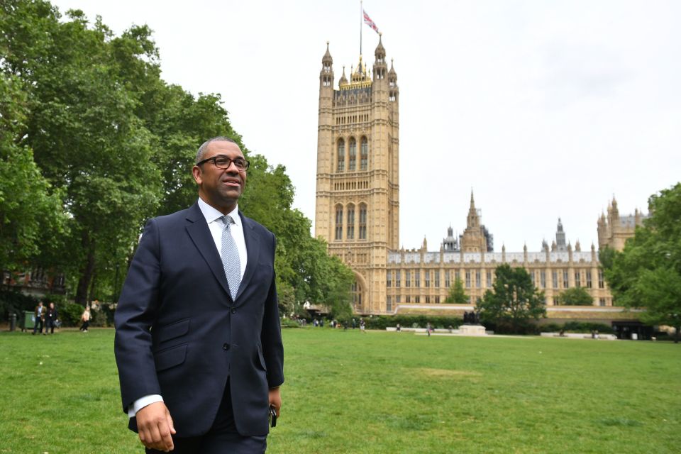  James Cleverly pulled out of the race but got behind Boris - as he'd worked with him before at City Hall