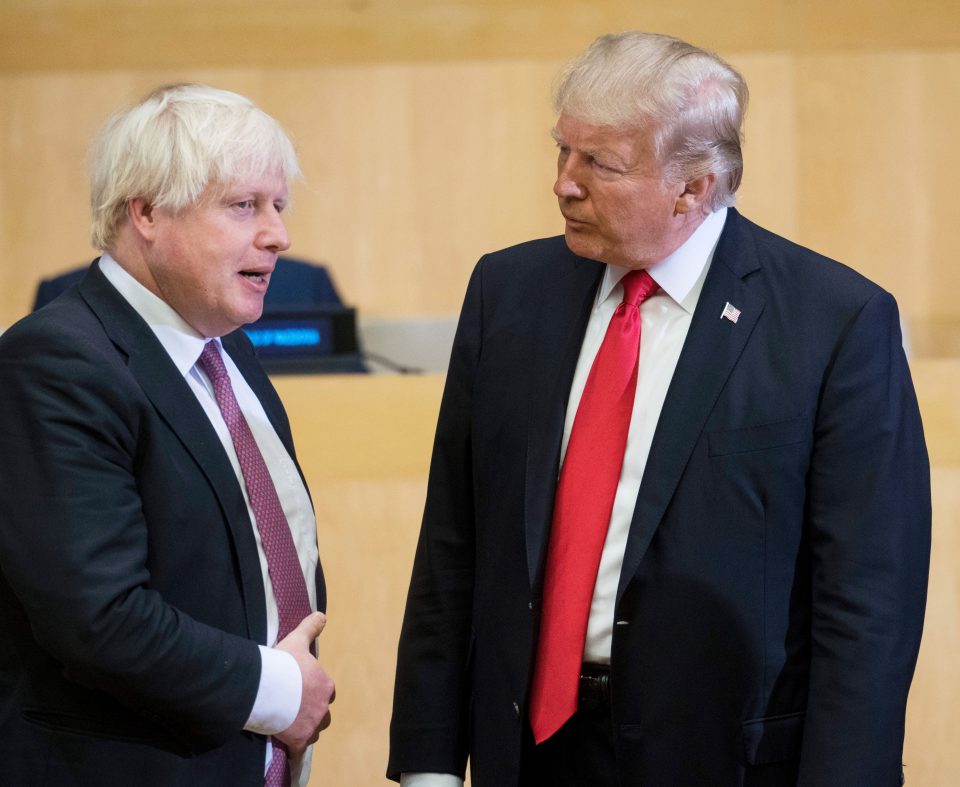  Mr Trump spoke with Boris Johnson during a United Nations meeting in 2017