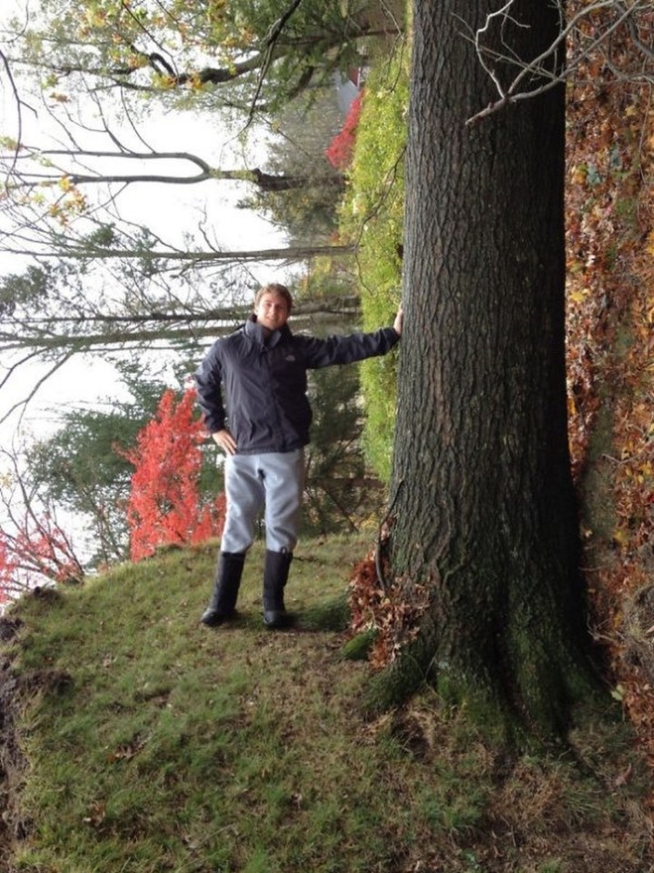  Can you see the wood for the trees in this topsy-turvy snap?