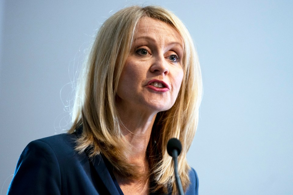 Mrs McVey represented the Conservatives in Wirral West before winning George Osborne's old seat