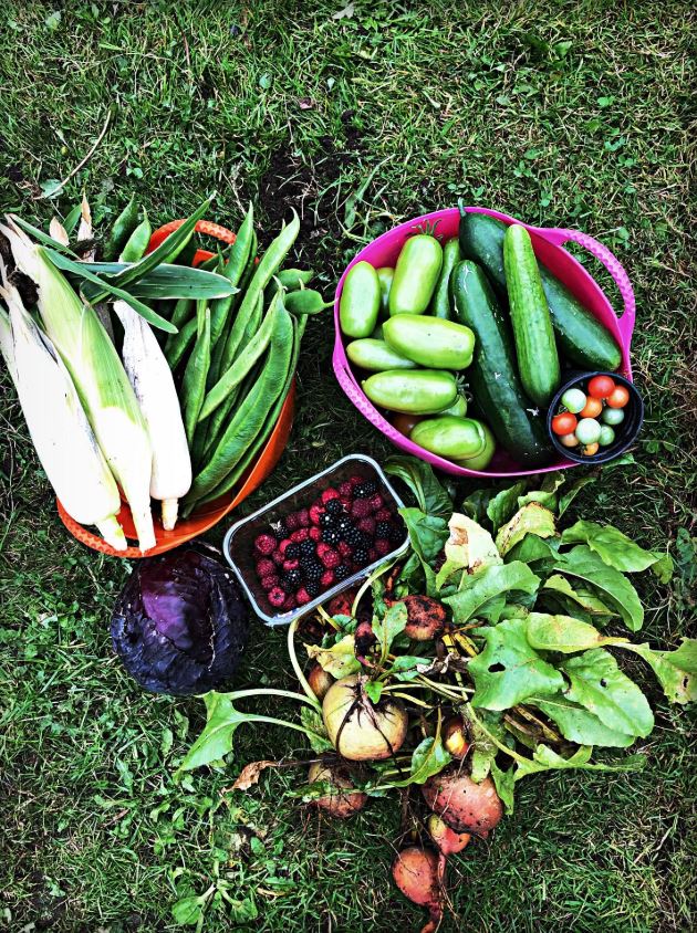  A haul from their allotment