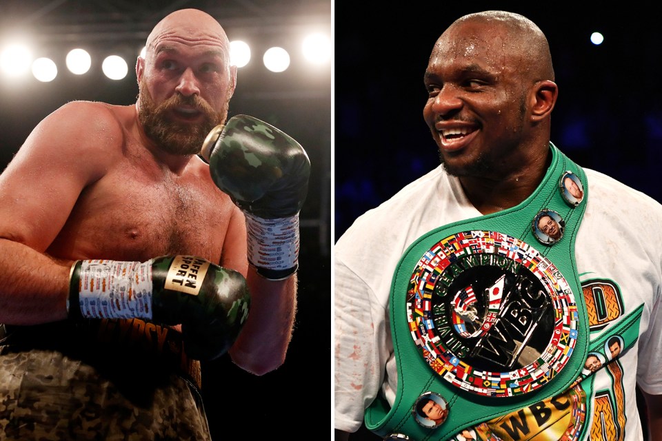  Tyson Fury has been ordered to fight fellow Brit Dillian Whyte