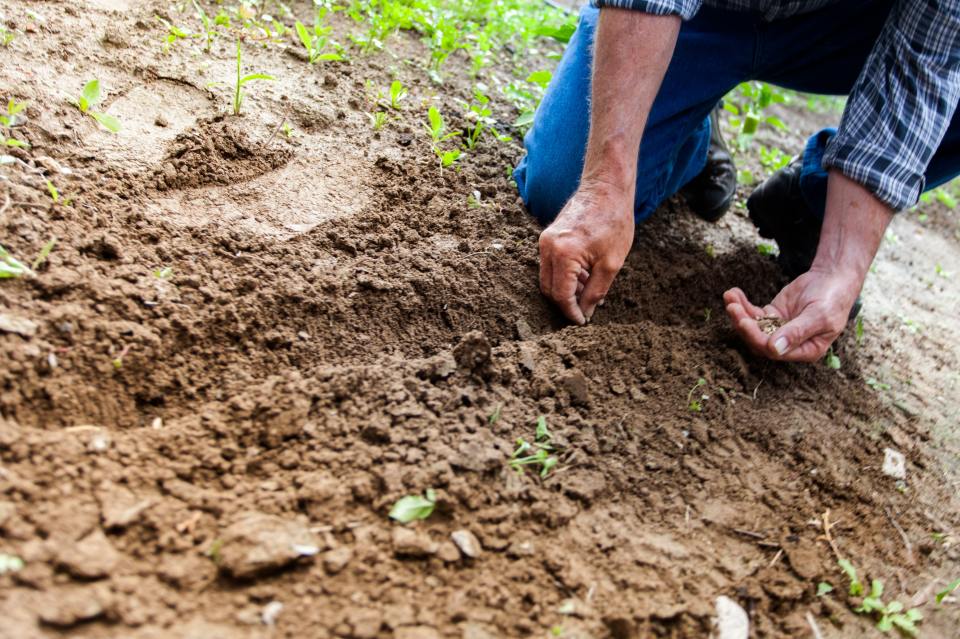  Equity Release could help you spend more time gardening in your retirement