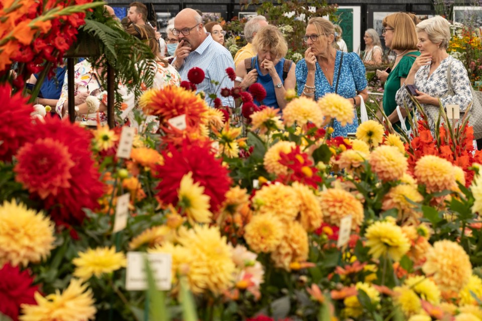  The RHS Chelsea Flower Show 2022 will run from May 24 until May 28