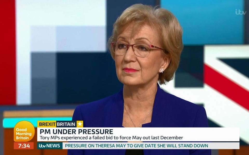  Andrea Leadsom said a true Brexiteer would have taken us out of the EU by now